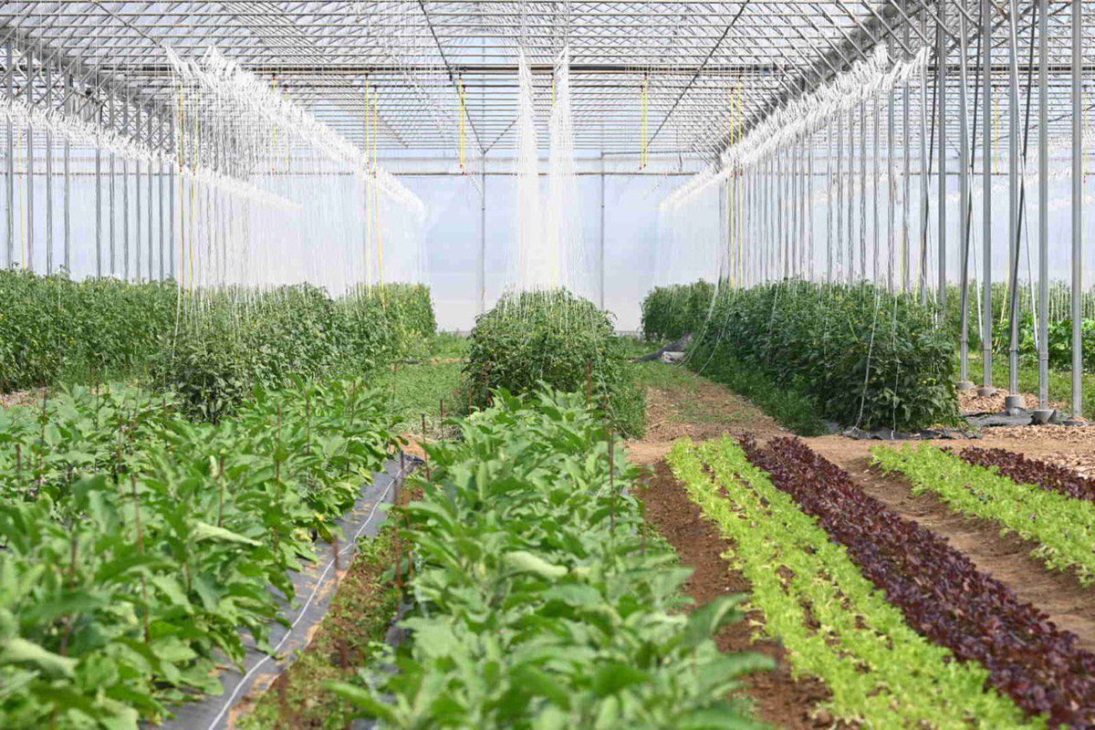 Damien Castelain (@damiencastelain) on Twitter photo Nous inaugurons la ferme de permaculture du fort à Ennetières-en-Weppes.
12 emplois locaux, 140 tonnes/an de production bio.
Un projet accompagné par la <a href="/MetropoleLille/">Métropole Européenne de Lille</a> qui incarne notre stratégie agricole et alimentaire pour une métropole durable. Nous inaugurons la ferme de permaculture du fort à Ennetières-en-Weppes.
12 emplois locaux, 140 tonnes/an de production bio.
Un projet accompagné par la <a href="/MetropoleLille/">Métropole Européenne de Lille</a> qui incarne notre stratégie agricole et alimentaire pour une métropole durable.