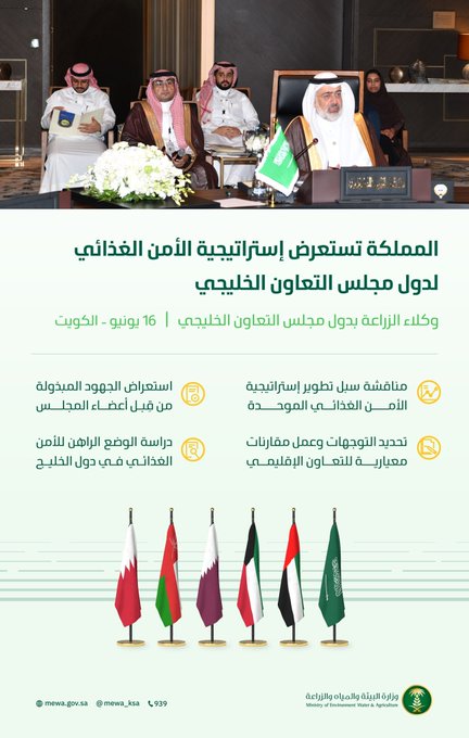 الصورة