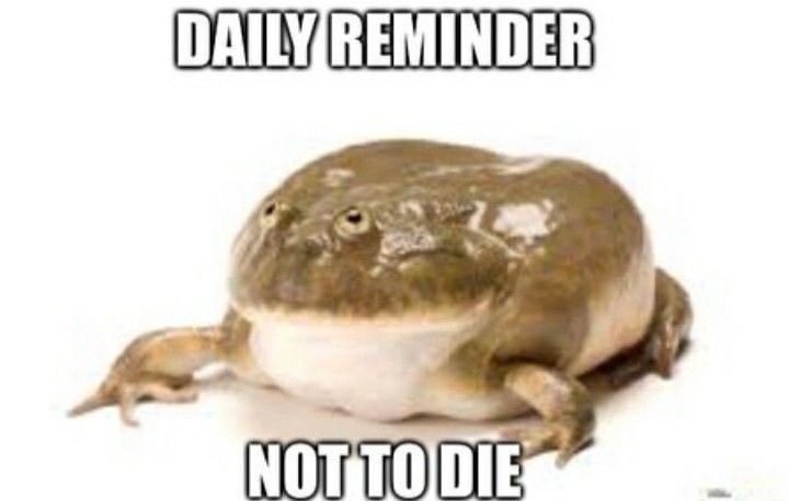 Мда, я б хотіла якийсь красивий кулон з опалом, а замовила свистки🫠