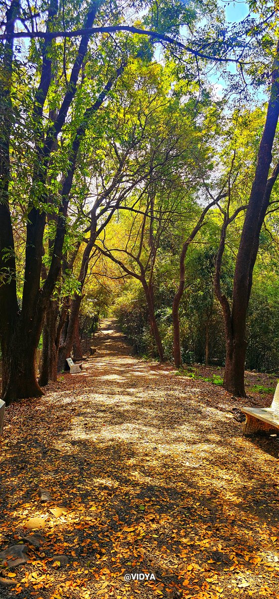 Trail Tuesday! Share a trail pic!