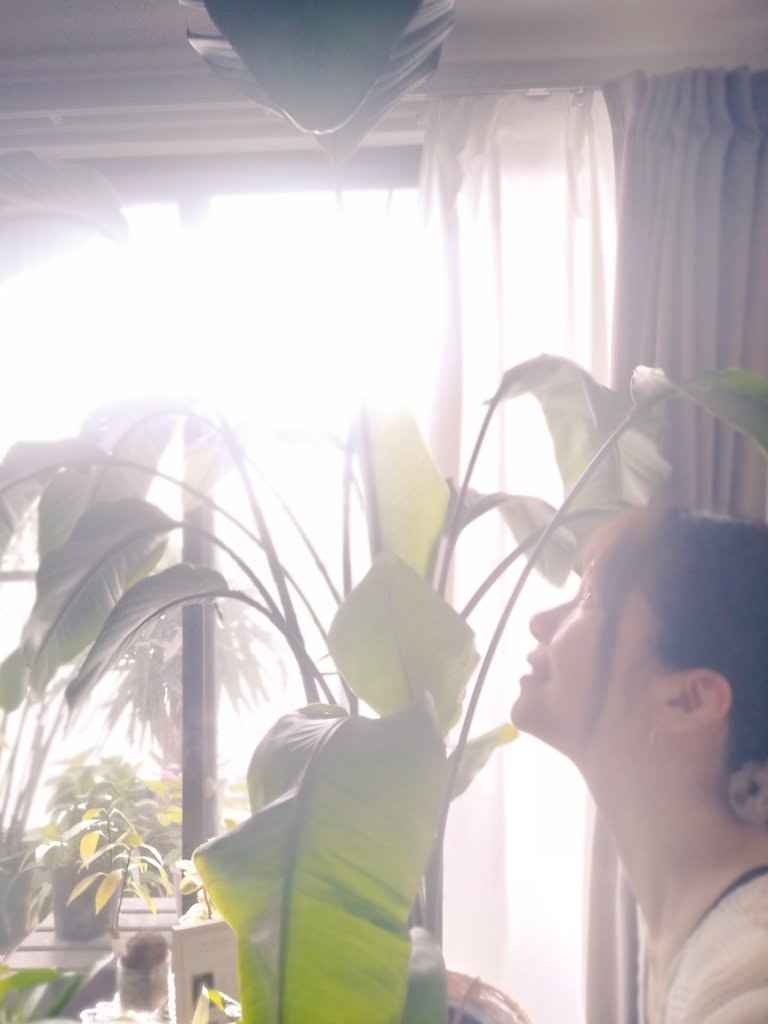 soultouchhiro's tweet image. みんなに平等に

クリアな光のエネルギーと
自然の恵みが
降り注がれてる✨✨

それを糧にできるかどうかは
受け取り力　

自分次第だよ♡