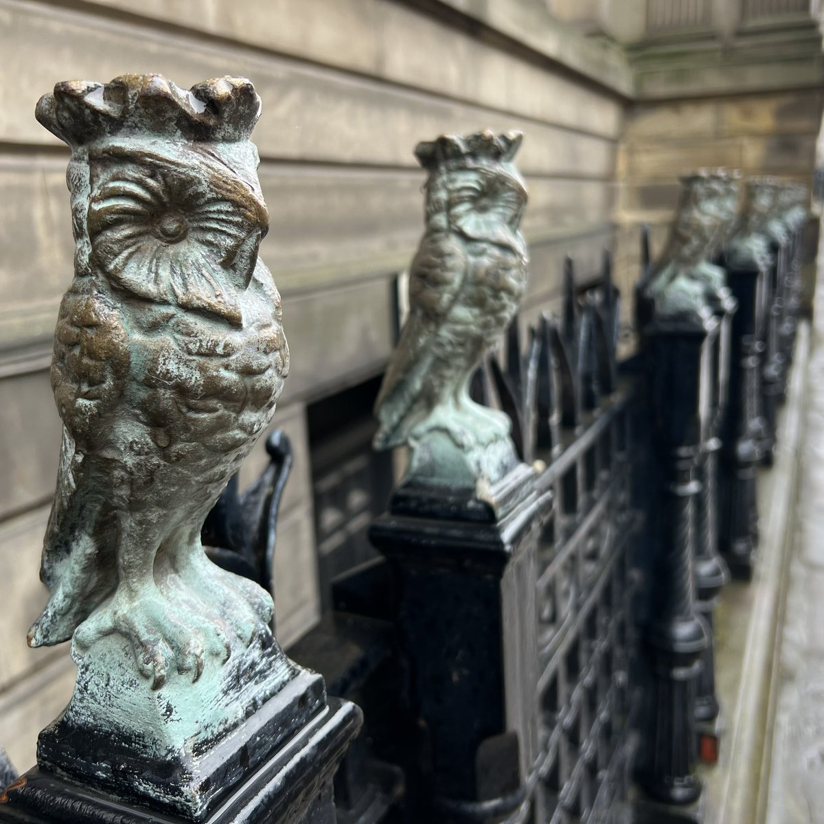 Forgot my #owlishmonday so a day late. Leeds library. #leeds