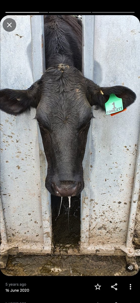 Brian Corr tweet media