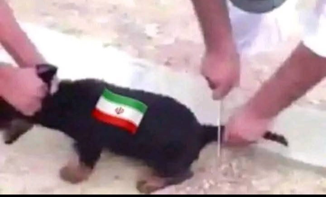 Pro-israelische Accounts posten seltsame Sachen. Kann mir nicht vorstellen, dass sowas Sympathien bringt!😡