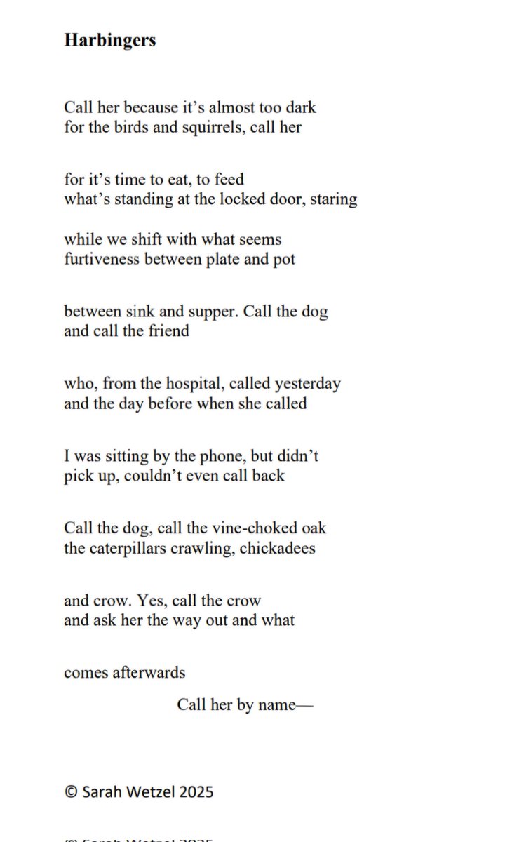 here's a poem from Sarah Wetzel's Elegies for Herons #comingsoon #linkinbio