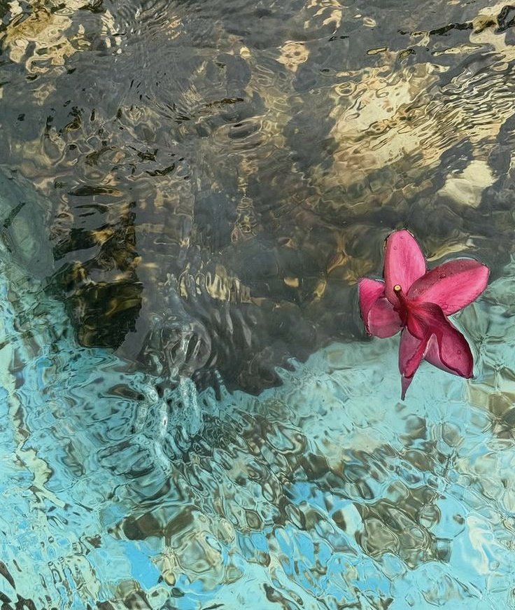 merty (@mertoloji_1) on Twitter photo 