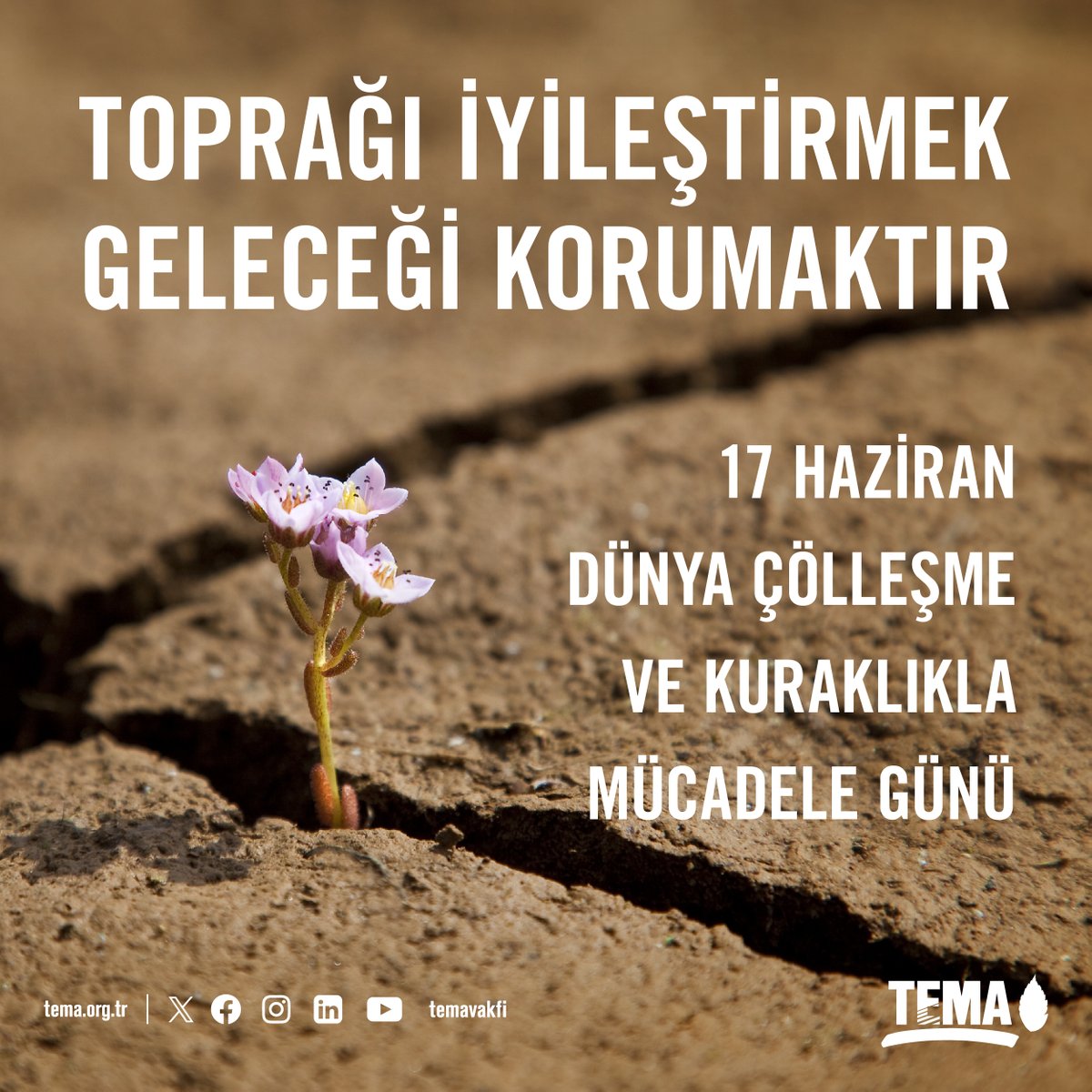 17 Haziran Dünya Çölleşme ve Kuraklıkla Mücadele Günü’nün bu yılki teması: “Arazi Restorasyonu Yap, Fırsatları Açığa Çıkar”

İnsan faaliyetleri ve iklim krizi nedeniyle toprağımız zarar görüyor.

⚠ Her yıl Mısır büyüklüğünde, yaklaşık 100 milyon hektar arazi verimliliğini
