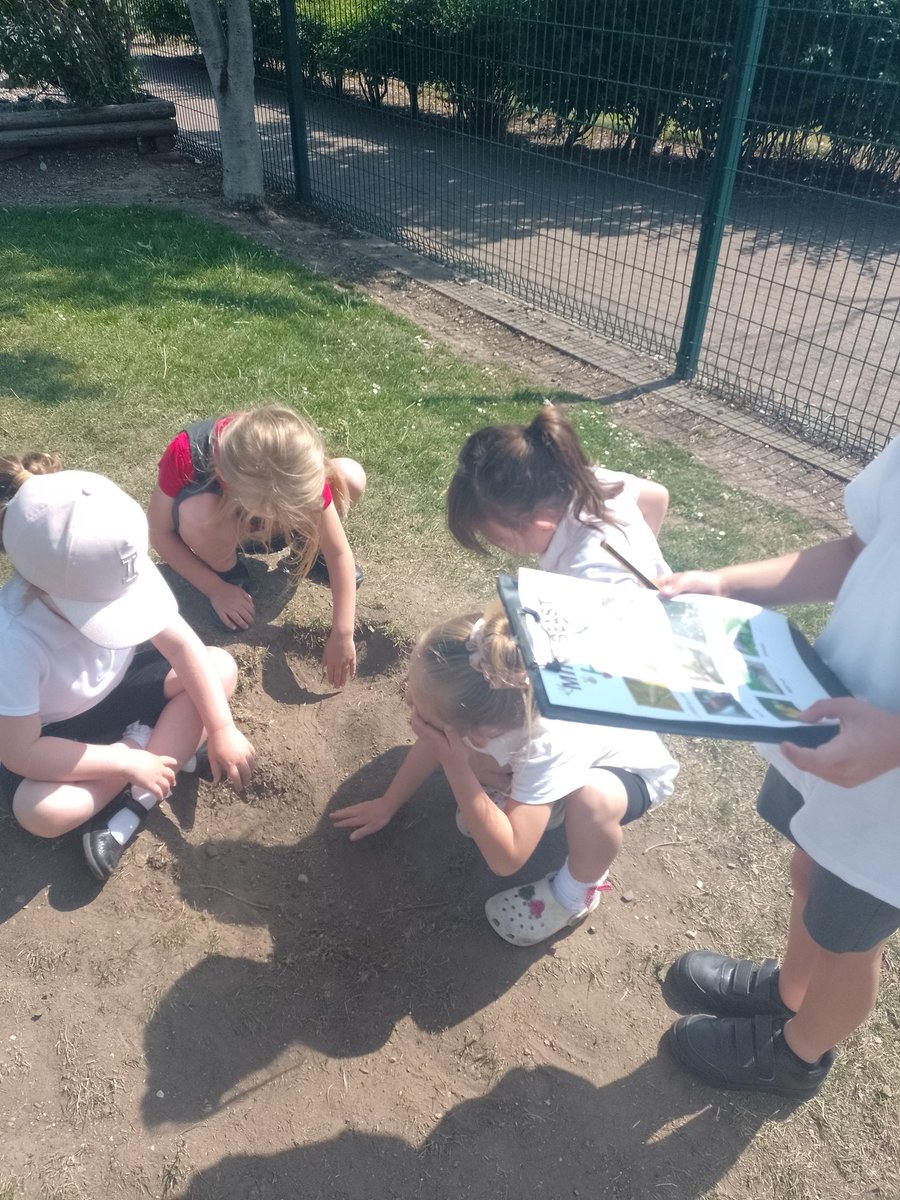 Maybury_F2's tweet photo. We have been looking closely at mini beasts and their habitats. We went on a mini east hunt and ticked them off our sheet.🐝 🕷️ 🐛🦋 @Maybury_School @HumberEdTrust https://t.co/Cxs91ZvSHW