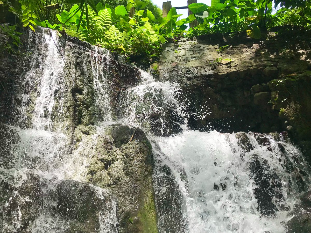 Good Morning, Sunshine! ☀️

Make a splash today— Dive in, stay focused, and create waves.

Have an amazing day!