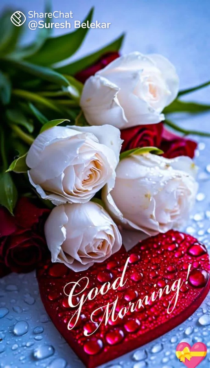 <a href="/GsjpJyoti/">jyoti dubey</a> <a href="/vijay7036/">Vijay Pandey</a>