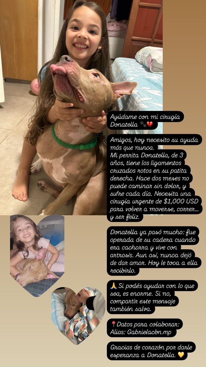 KellyRinconm's tweet photo. @bjs_alejo2 Ayúdenme con este perrito porfa, es de una amiga, en la imagen están los datos! https://t.co/kWygcSSdd9