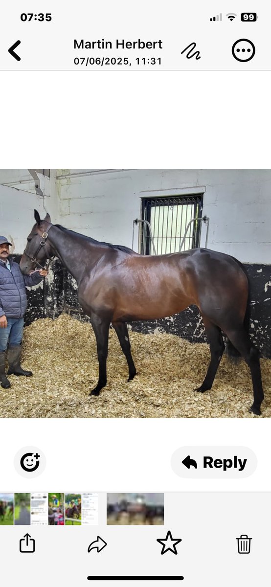 Laurence Bellman (@laurencebellman) on Twitter photo Excited and Nervous with my first Group 1 runner BALMORAL LADY <a href="/Ascot/">Ascot Racecourse</a> for <a href="/edwalkerracing/">Ed Walker Racing</a> with <a href="/TomMarquand/">Tom Marquand</a> on board๐๐ This gutsy filly will take on the big boys and girls in the greatest arena in the world. Wishing her all the luck and to return home safe and sound Excited and Nervous with my first Group 1 runner BALMORAL LADY <a href="/Ascot/">Ascot Racecourse</a> for <a href="/edwalkerracing/">Ed Walker Racing</a> with <a href="/TomMarquand/">Tom Marquand</a> on board๐๐ This gutsy filly will take on the big boys and girls in the greatest arena in the world. Wishing her all the luck and to return home safe and sound