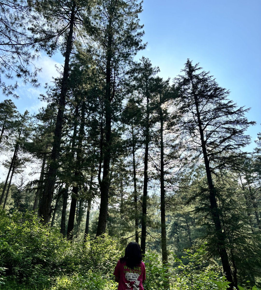 Singh_Kanchan20's tweet photo. ♥️
#solotravel #Selftimer https://t.co/97IGQepeeY