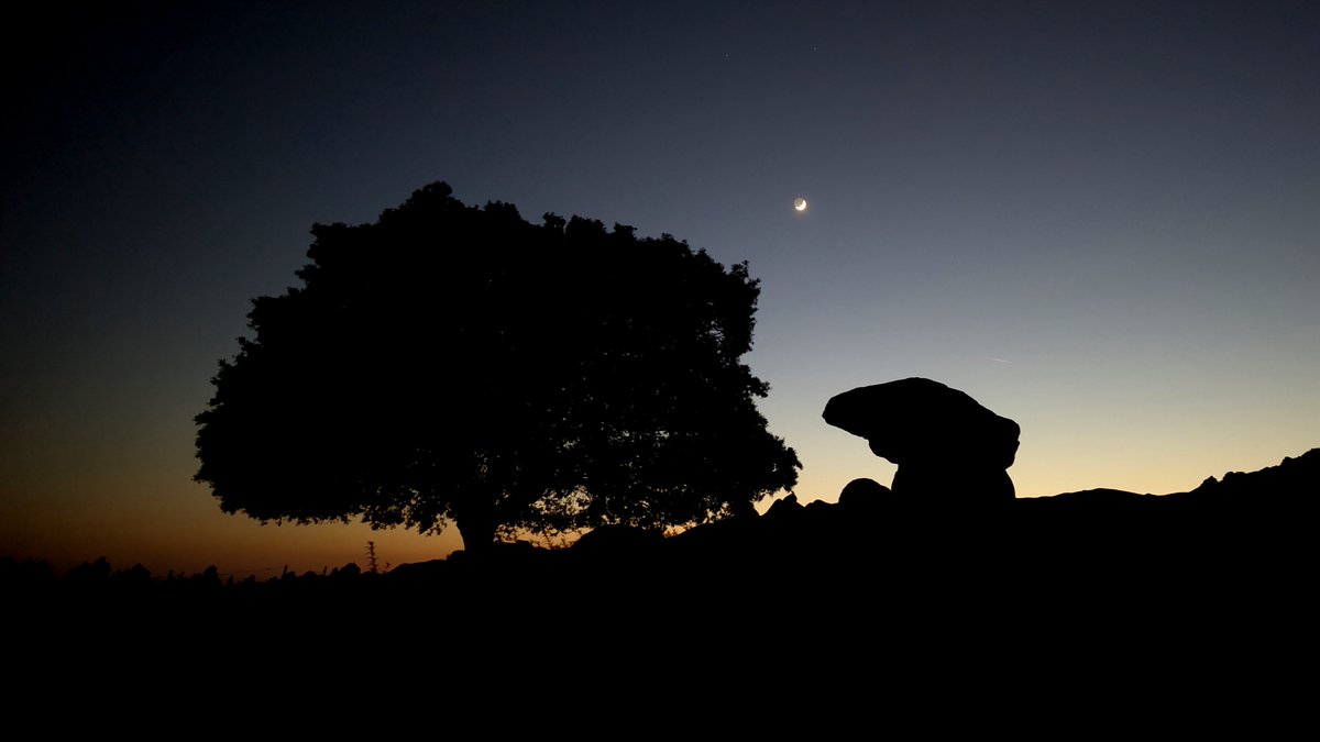 ⛅ [EGURALDIA] Eguzkia jaun eta jabe izango da, bihar arratsalderako hodei gehiago egongo badira ere. 

alea.eus/araba/17500906…