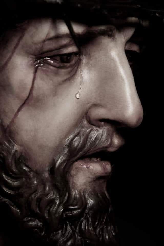 Alaba, alma mía, al Señor:
alabaré al Señor mientras viva,
tañeré para mi Dios mientras exista.