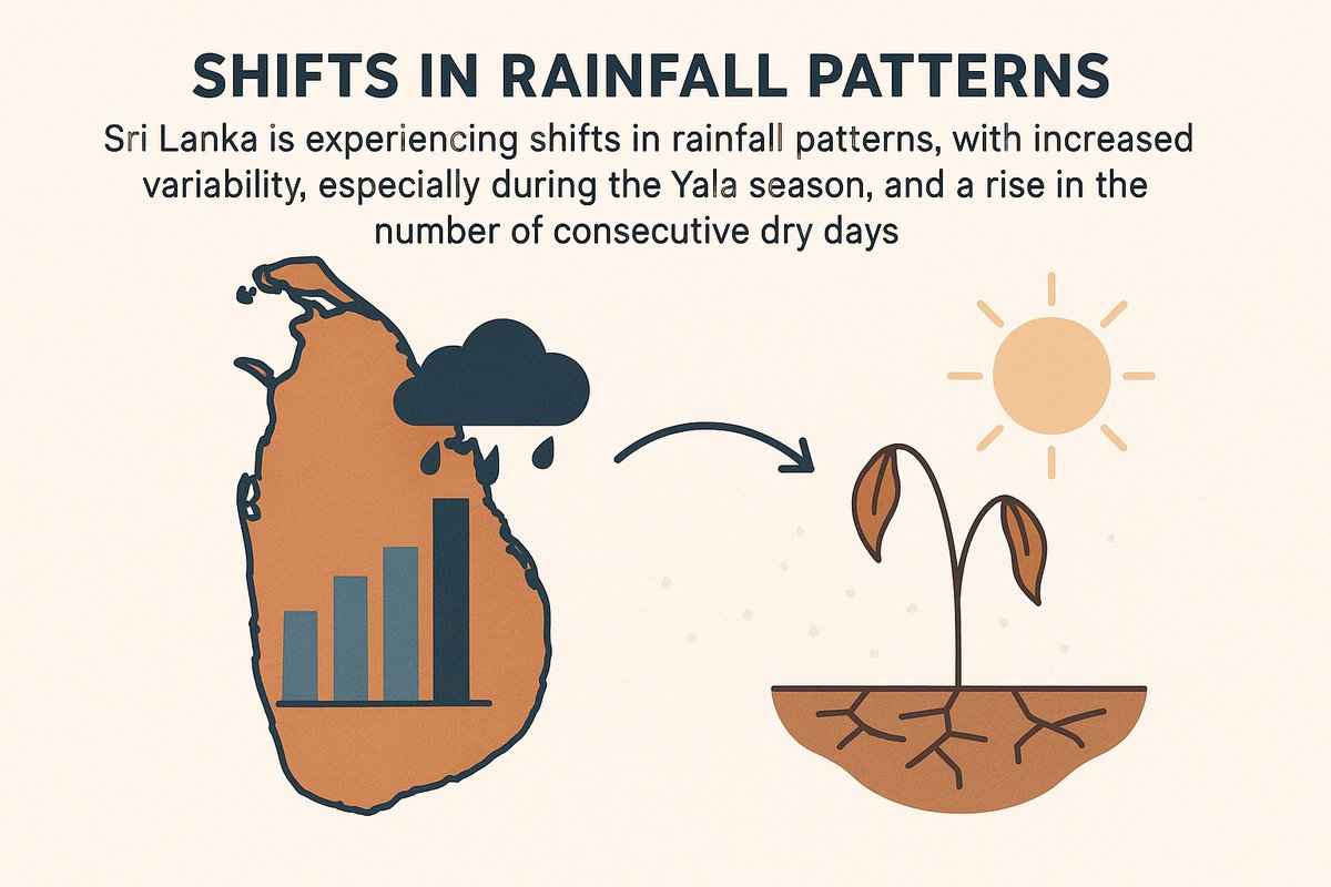 Sri Lanka is experiencing shifts in rainfall patterns, with increased variability, especially during the Yala season (a major growing season), and a rise in the number of consecutive dry days.
.
.
#ClimateChangeLK #SriLankaWeather #ChangingRainfall