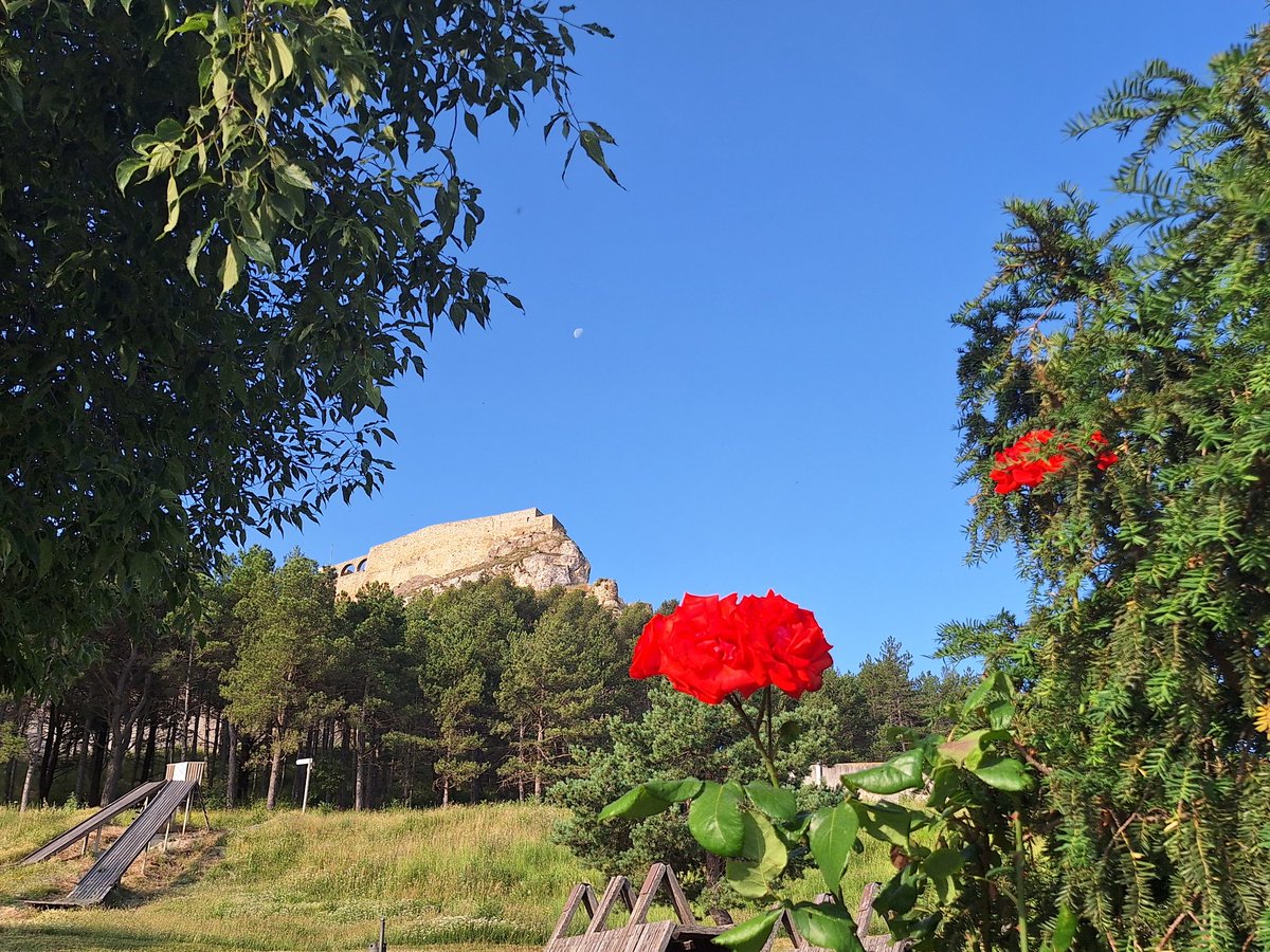Juan Amela (@meteomorella) on Twitter photo Observatori #Morella.T. Mínima 19,5 ⁰C, T. Mínima fàbrica de Giner 14,8 ⁰C, 1016,5 hPa. Cielo poco nuboso. Buen martes .
<a href="/AEMET_CValencia/">AEMET Comunitat Valenciana</a> <a href="/AlexMuozGarc/">Álex Muñoz 📷 ☀🦇 💯 🧡</a>
<a href="/cenayla/">Conchy Bayo</a> <a href="/AlendaMavi/">Mavi Alenda Morán</a> <a href="/fran40tf/">☀⛅️️fran40 ☔️</a>
<a href="/rasalvi49/">Ramon Salvi</a> <a href="/Fran_Lorenzo95/">Fran Lorenzo</a> <a href="/minervagra/">Minerva GG</a> <a href="/sibilafc/">Silvia Ferrer</a> <a href="/apuntoratge/">À Punt Oratge</a> Observatori #Morella.T. Mínima 19,5 ⁰C, T. Mínima fàbrica de Giner 14,8 ⁰C, 1016,5 hPa. Cielo poco nuboso. Buen martes .
<a href="/AEMET_CValencia/">AEMET Comunitat Valenciana</a> <a href="/AlexMuozGarc/">Álex Muñoz 📷 ☀🦇 💯 🧡</a>
<a href="/cenayla/">Conchy Bayo</a> <a href="/AlendaMavi/">Mavi Alenda Morán</a> <a href="/fran40tf/">☀⛅️️fran40 ☔️</a>
<a href="/rasalvi49/">Ramon Salvi</a> <a href="/Fran_Lorenzo95/">Fran Lorenzo</a> <a href="/minervagra/">Minerva GG</a> <a href="/sibilafc/">Silvia Ferrer</a> <a href="/apuntoratge/">À Punt Oratge</a>