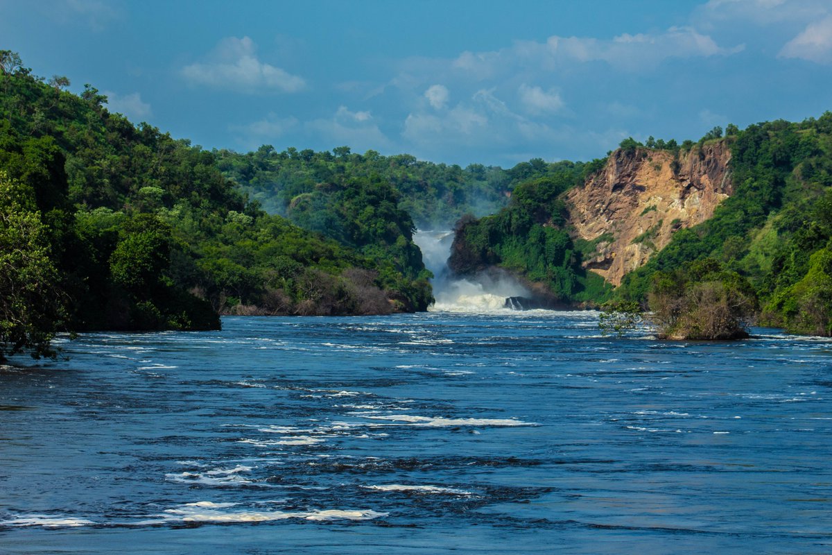nyanasafaris's tweet image. 💦 Murchison Falls – Where the Nile Roars!
Brace yourself for the world’s most powerful waterfall — Murchison Falls, where the Nile squeezes through a 7-meter gap and explodes into thunder.
🦁 Game drives through savannah plains
🦛 Nile boat cruises with hippos & crocs
🦅 Over…