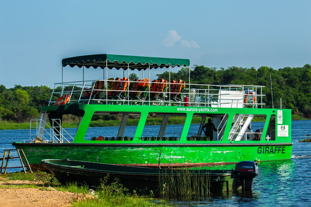 nyanasafaris's tweet image. 💦 Murchison Falls – Where the Nile Roars!
Brace yourself for the world’s most powerful waterfall — Murchison Falls, where the Nile squeezes through a 7-meter gap and explodes into thunder.
🦁 Game drives through savannah plains
🦛 Nile boat cruises with hippos & crocs
🦅 Over…