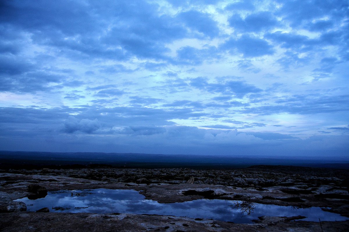 4Ro Photos tweet media