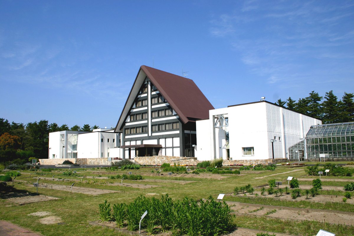 🎉 内藤記念くすり博物館は開館54周年！🧪🏛️
1971年6月、エーザイ創業者・内藤豊次によって設立されたこの博物館は、半世紀以上にわたり、延べ約180万人の来館者をお迎えしてきました。