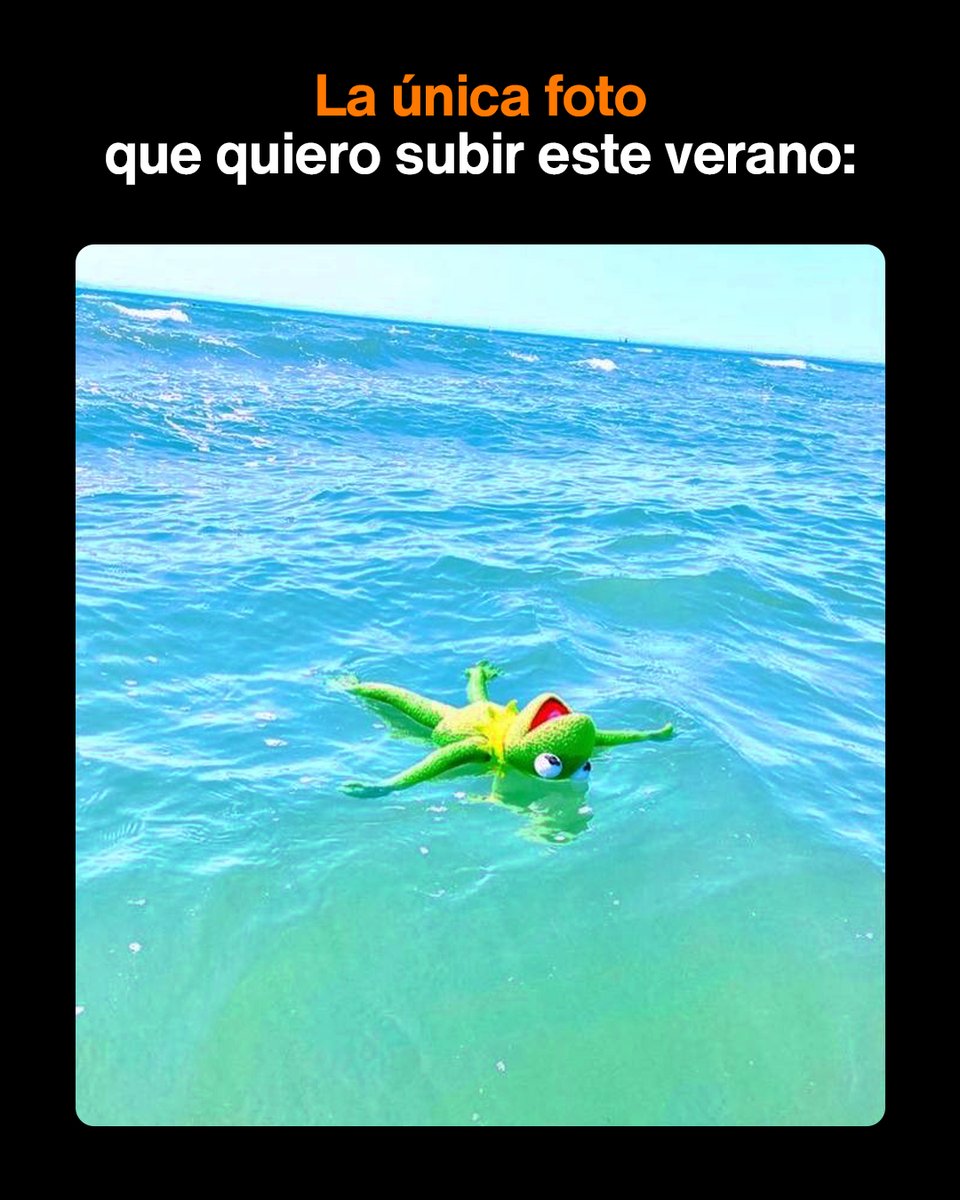 ✨ Manifestando un verano increíble 🐚 🌺 🌴
