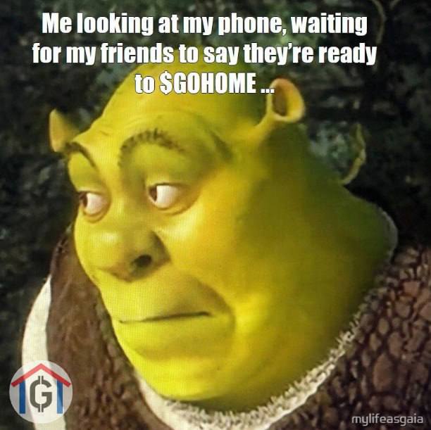 GoHome_Token's tweet photo. Me looking at my phone, waiting for my friends to say they're ready to $GOHOME... https://t.co/KHXO9blTW6