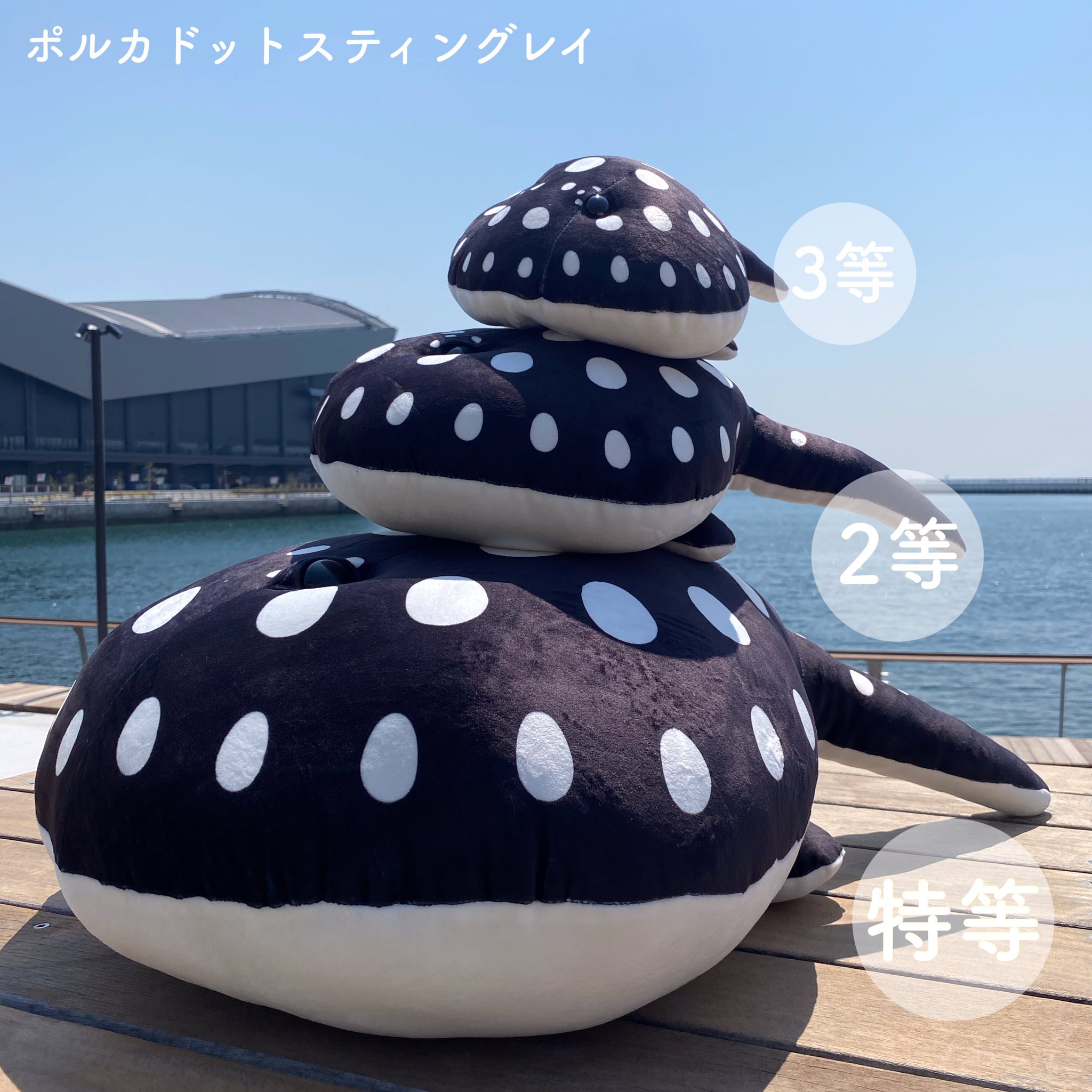 くじ特賞】神戸水族館アトア(atoa)ポルカくじ エイ ビッグ