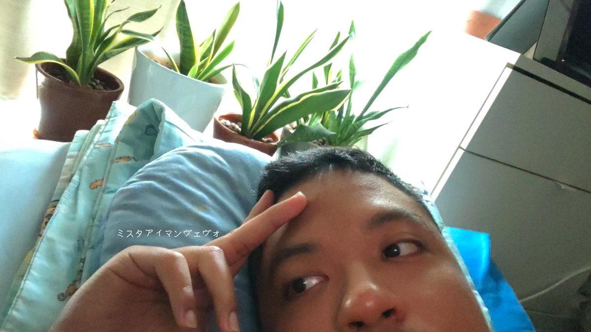 Mang アイマン 愛満 tweet media