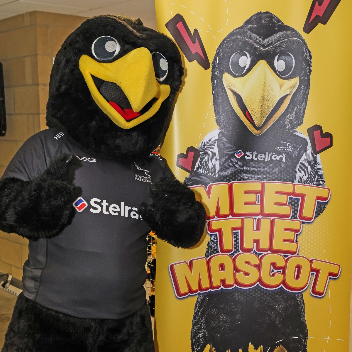 𝗡𝗔𝗧𝗜𝗢𝗡𝗔𝗟 𝗠𝗔𝗦𝗖𝗢𝗧 𝗗𝗔𝗬!

🎉 Showing some love to everyone's favourite, Flash the Falcon, this National Mascot Day.

Have a good one, Flash!

#TrueNorth