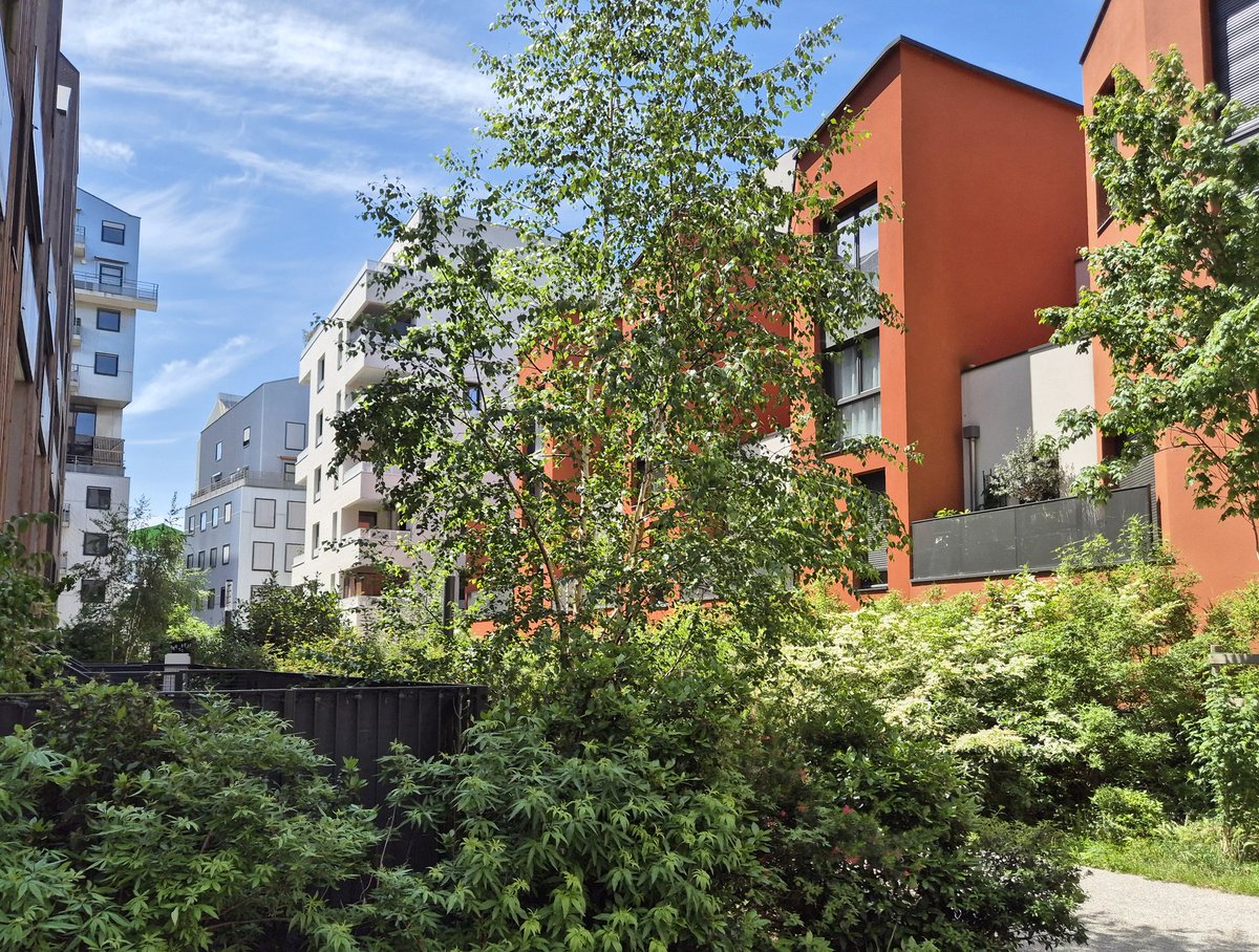 NandaSluijsmans's tweet image. De nieuwbouwbuurten in Bordeaux zijn veelal heerlijk #groen🌿 en veilig voor kinderen om op straat te spelen⚽️.👌🏼
#MooieStad