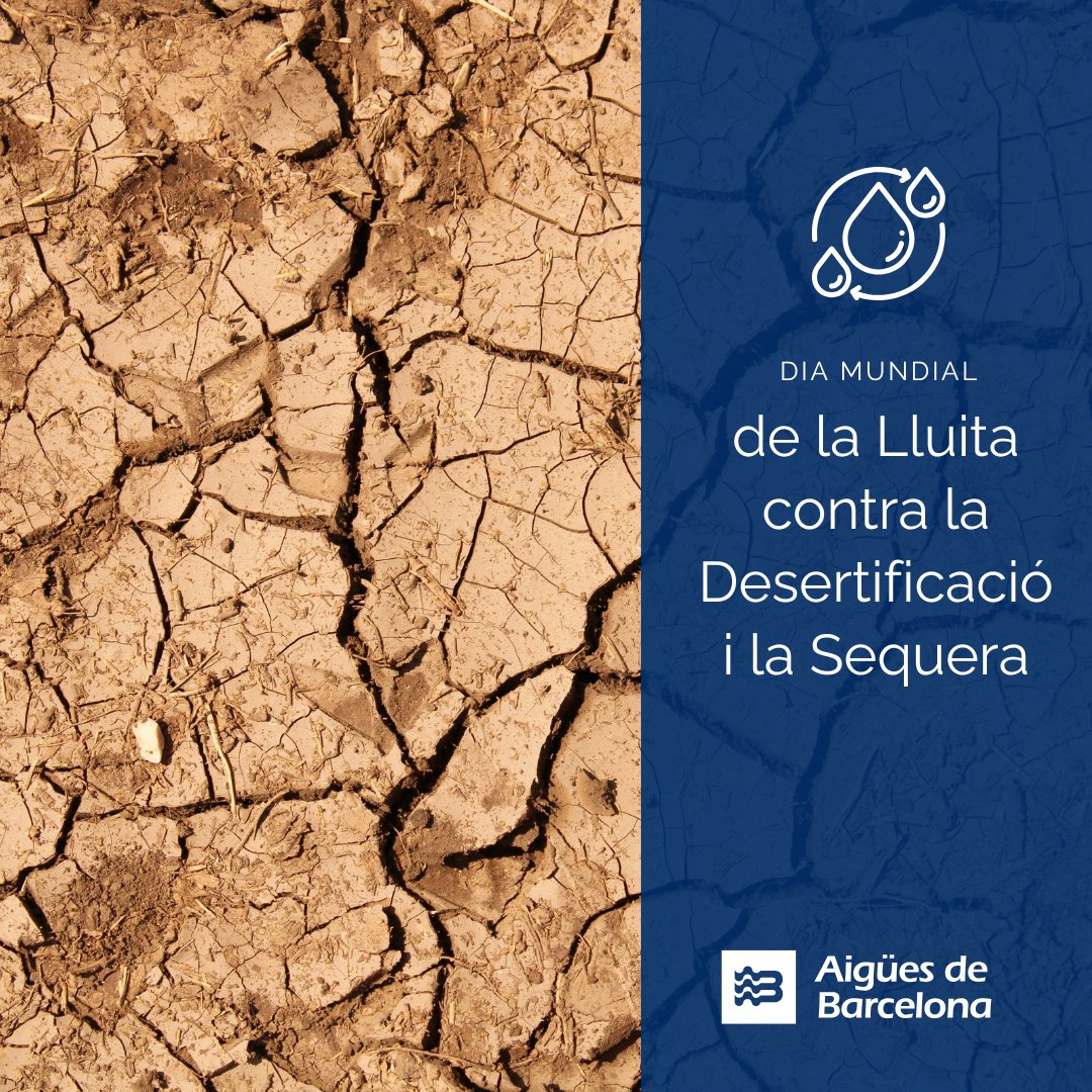 🌍💧 Avui, Dia Mundial de Lluita contra la Desertificació i la Sequera, recordem la importància de cuidar cada gota. 

Treballem per una gestió sostenible de l’aigua que garanteixi el futur del nostre entorn i impulsem solucions sostenibles, com l'aigua regenerada.