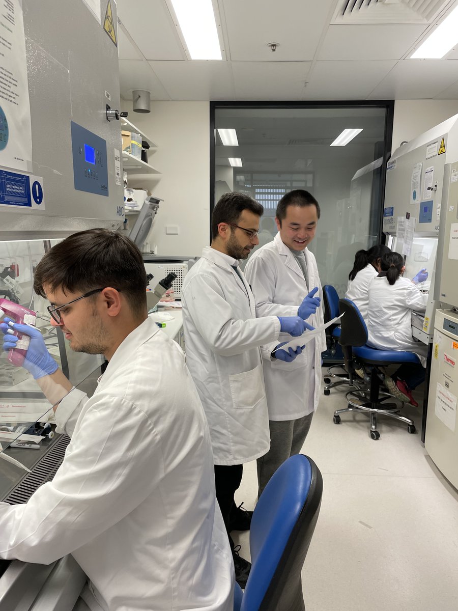 Si Ming Man (@simingman1) on Twitter photo π A #busy time with so much excitement, enthusiasm and #scientific collaboration in our #lab today. #immunesystem #cancer #infection #lablife #phd #postdoc π A #busy time with so much excitement, enthusiasm and #scientific collaboration in our #lab today. #immunesystem #cancer #infection #lablife #phd #postdoc