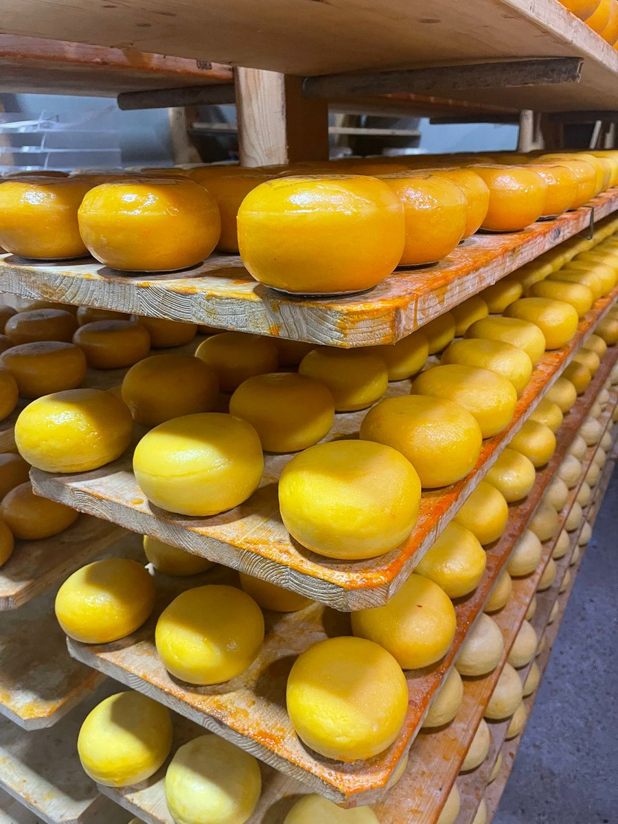 De bovenste kaasjes kleuren al mooi bij. #rijpen #opslag