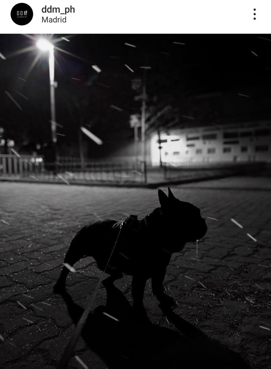 Forza Cochiiii!!!! Ricorda sei BatCocco 💪💪💪💪