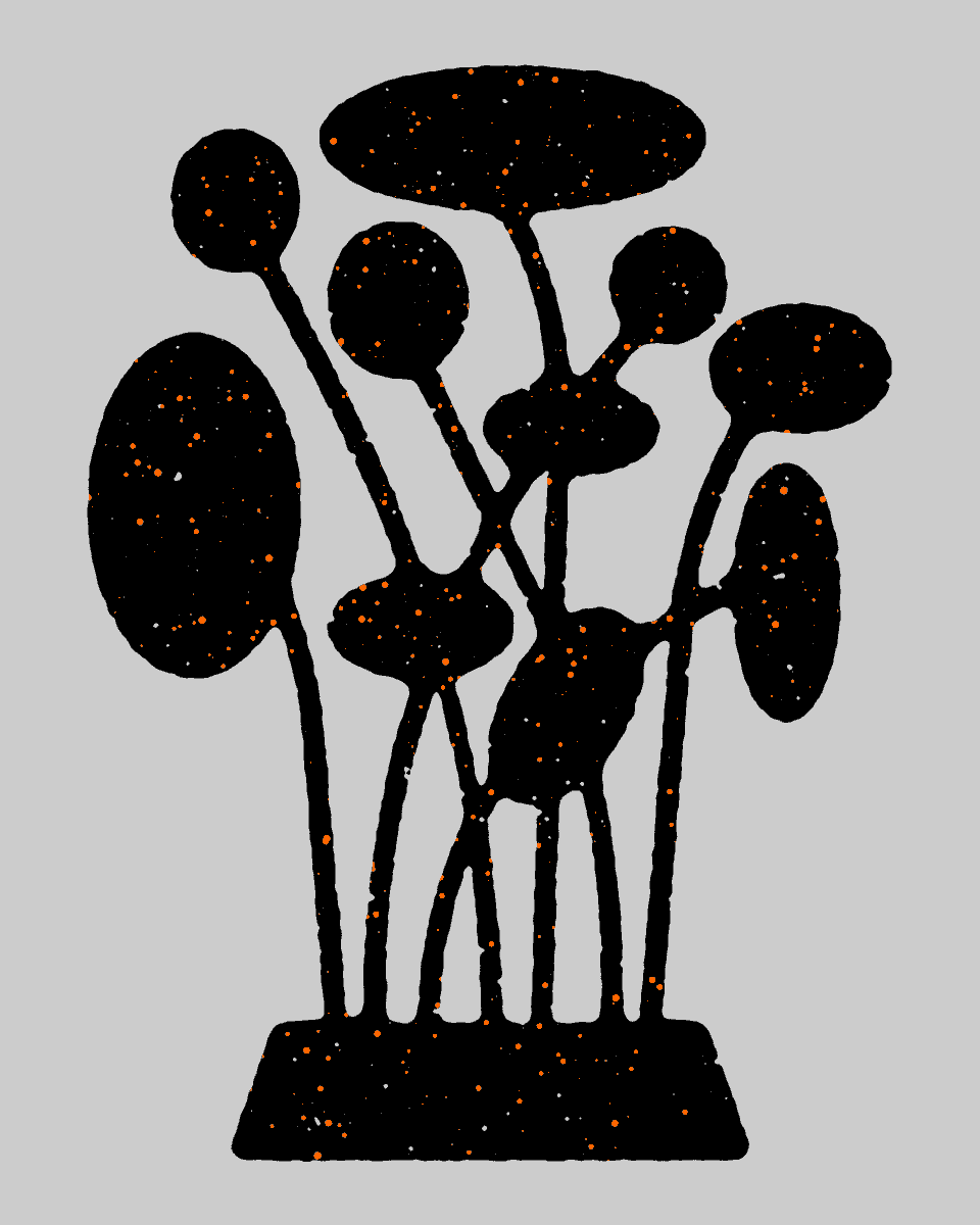 Plant Study #illustration #plant #illustrator