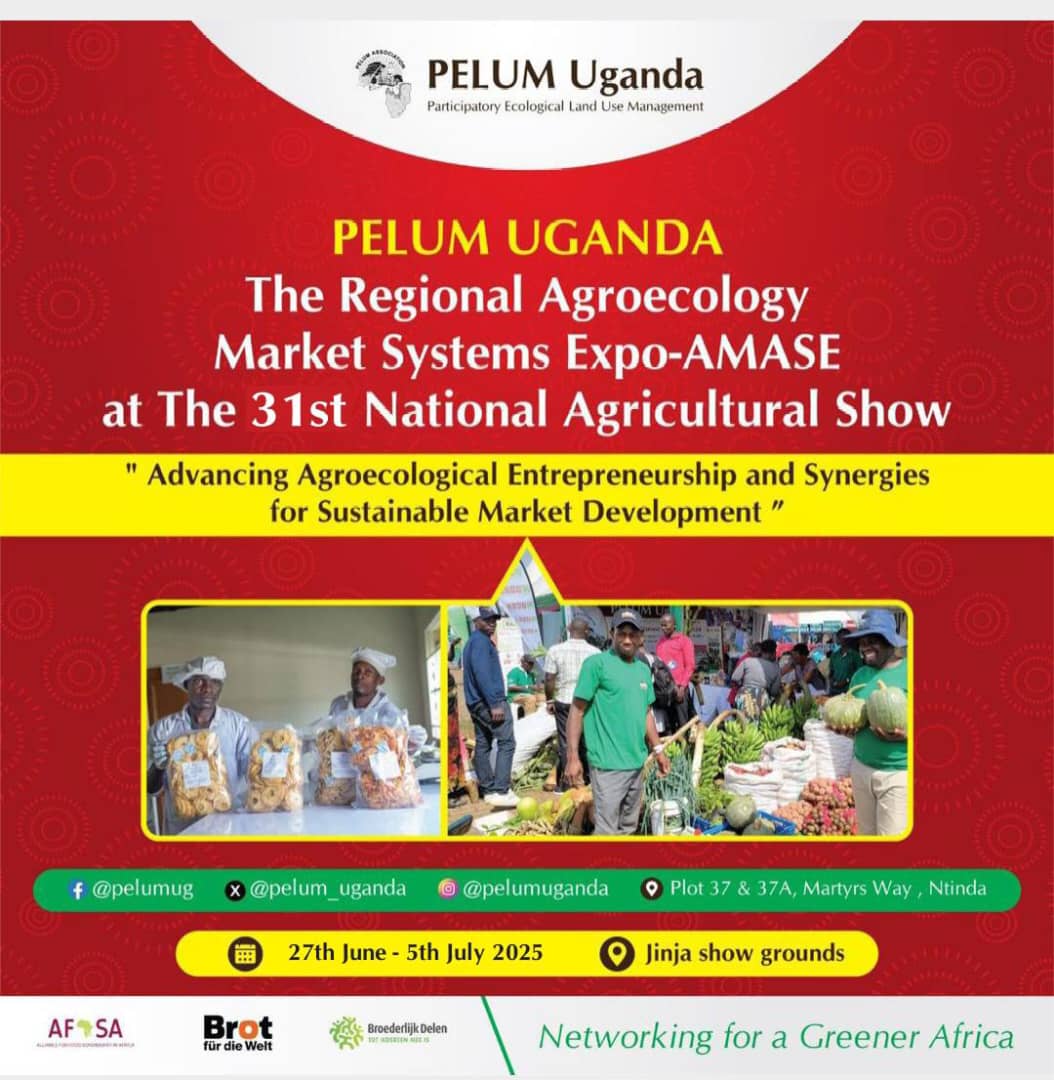 <a href="/pelum_uganda/">PELUM Uganda</a> Uganda will be part of the 31st National Agricultural Show.

Theme: Advancing Agroecological Entrepreneurship and Synergies for Sustainable Market Development

🎟️ Entry: Only UGX 5,000
📍Jinja Showgrounds 

This is a great space for farmers, youth, agripreneurs and