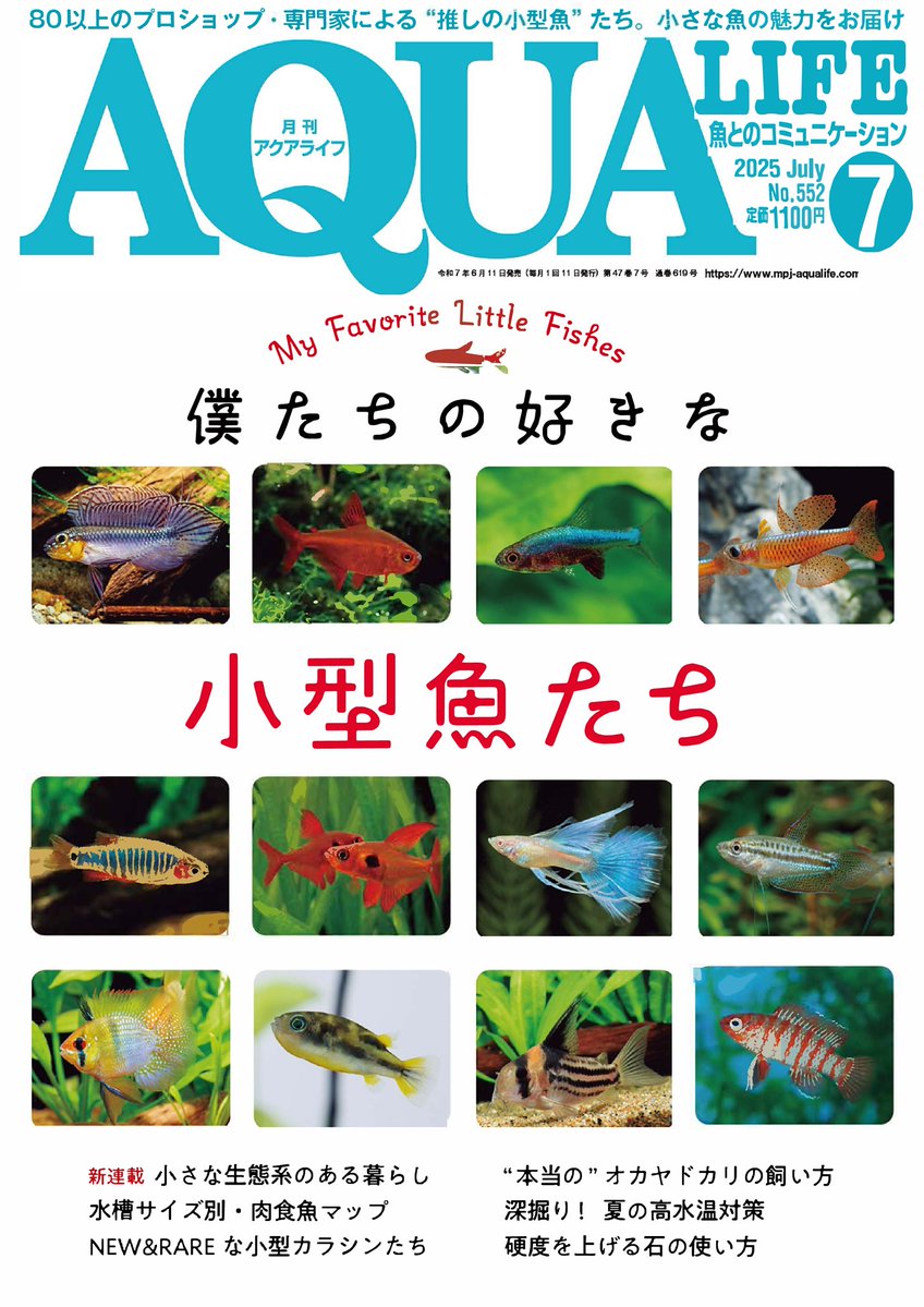 【専用】月刊アクアライフ 2011〜2014年1〜12（No.378〜425） 専用】月刊アクアライフ 2011〜2014年1〜12（No.378〜425） 専用】月刊