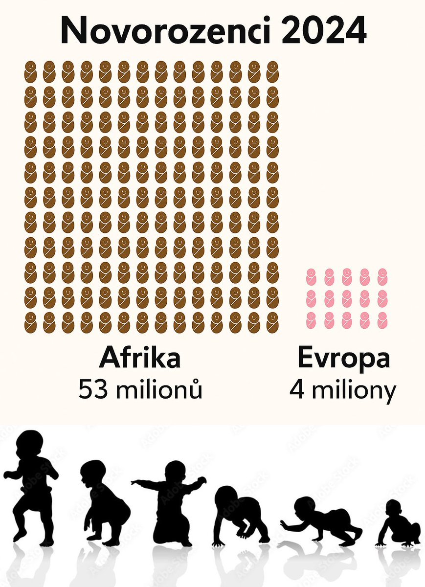 Marek Španěl tweet media