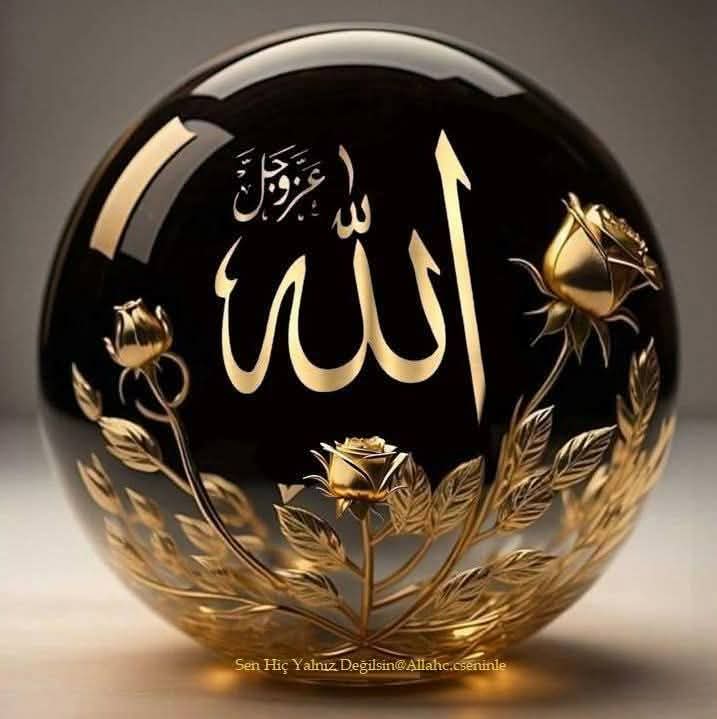 O'nu anarsan O da seni anar.
Bakara - 152

O'nu seversen O da seni sever.
Al-i İmrân - 31

Hayırla kalın AllahTeala'ya emanet olun