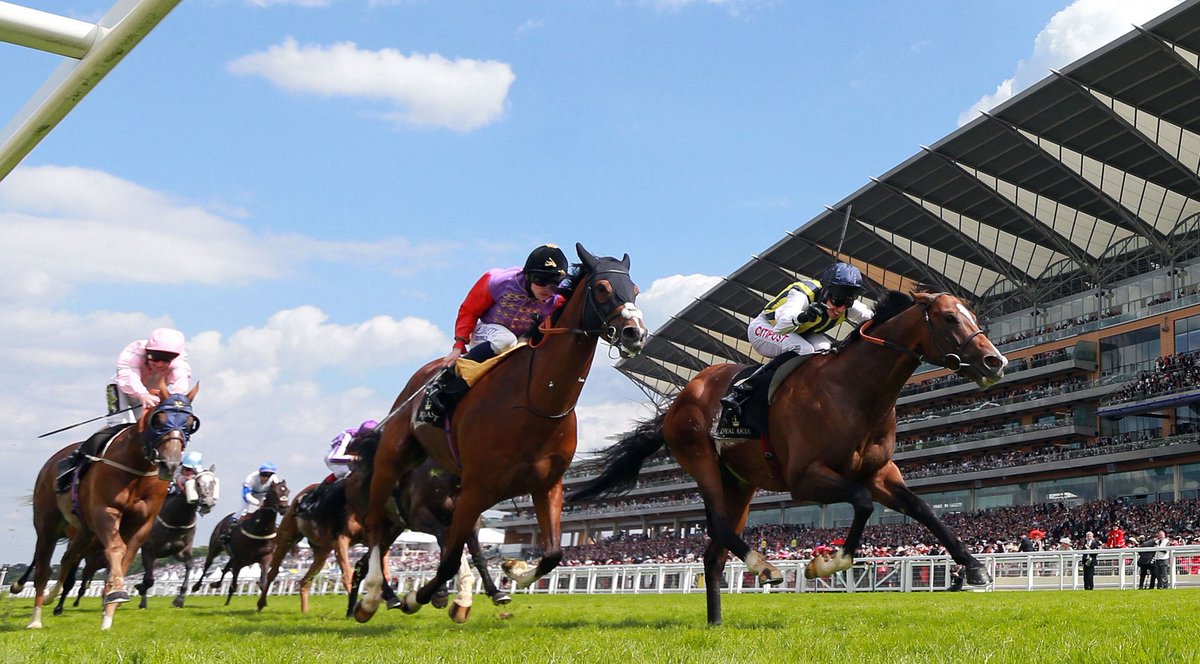 🏇 ROYAL ASCOT - DAY 1 🏇

American Gulf (3.05) @ 8/1
Starlust (3.40) @ 12/1
East India Dock (5.00) @ 5/1
French Master (6.10) @ 11/4

Good luck all!

#EnigmaHN