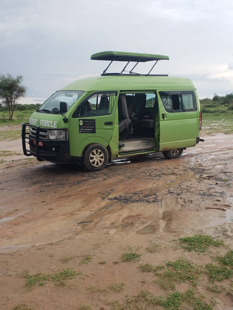 TembeziLtd's tweet image. We're not just another travel company. We're the ones who rise above the noise. 

 #ClarityInChaos #TravelDifferent
#YourTrustedTravelPartner 

@traveluganda3 @ExploreUganda @ExploreUganda @wa_Kabwohe