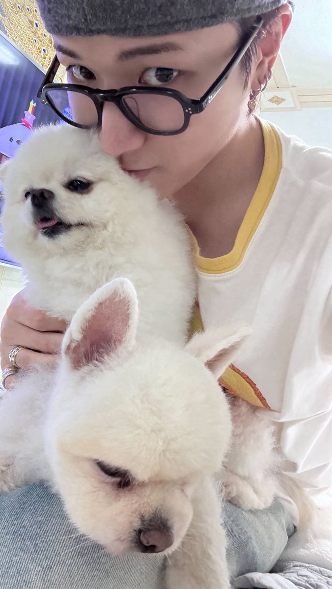 케르베로스 무서워하는 이유를 모르갯네