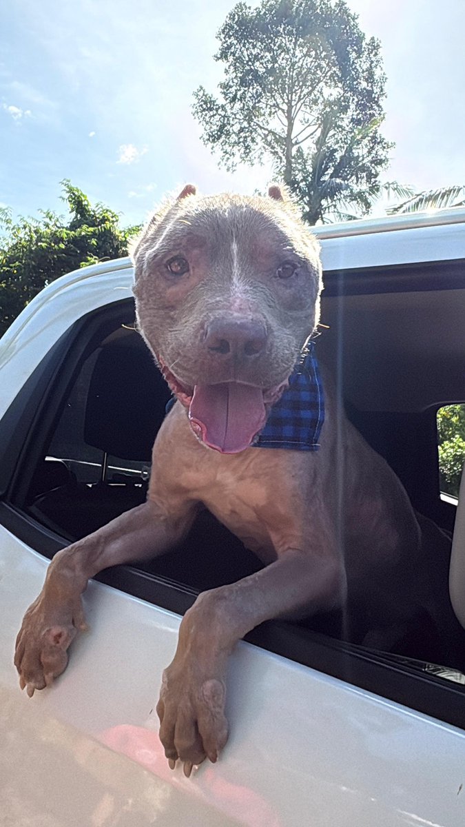 More of his big day out on my insta today…

instagram.com/niall.harbison

A follow there helps so much 🙏🥰