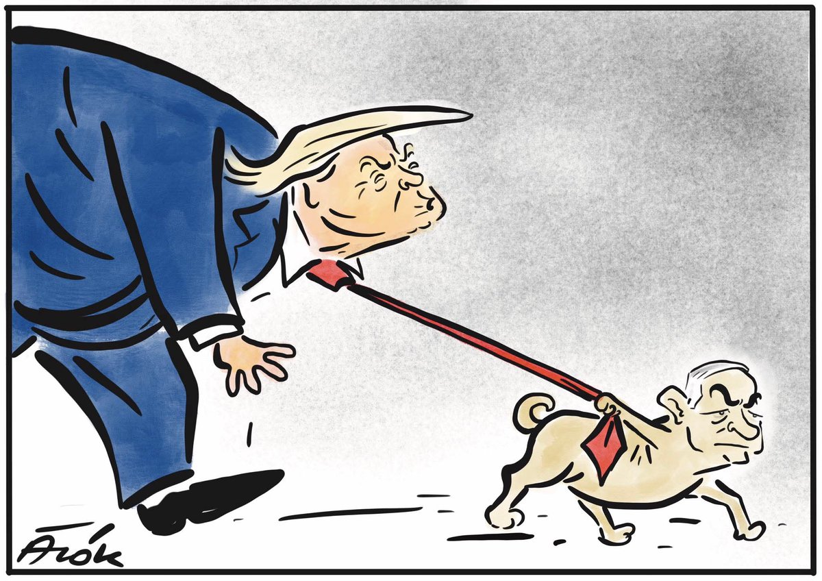 carton by Alok