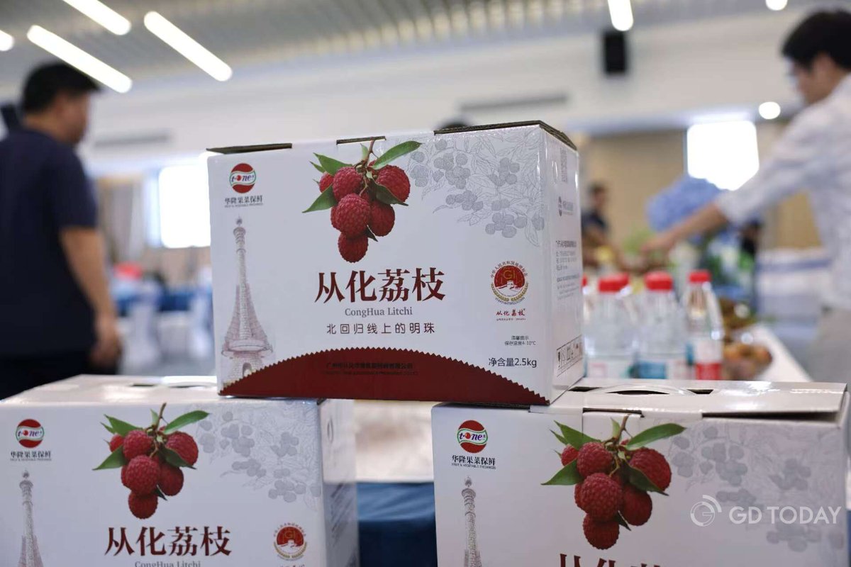 thisisGBA's tweet image. #Agriculture |  #Summer has arrived ☀️, and #lychee season is in full swing 🍒. 

Conghua District in #Guangzhou—a leading late-ripening lychee production area and the core lychee-growing region of Guangzhou—now cultivates the fruit across approximately 293,800 mu (about 19,587