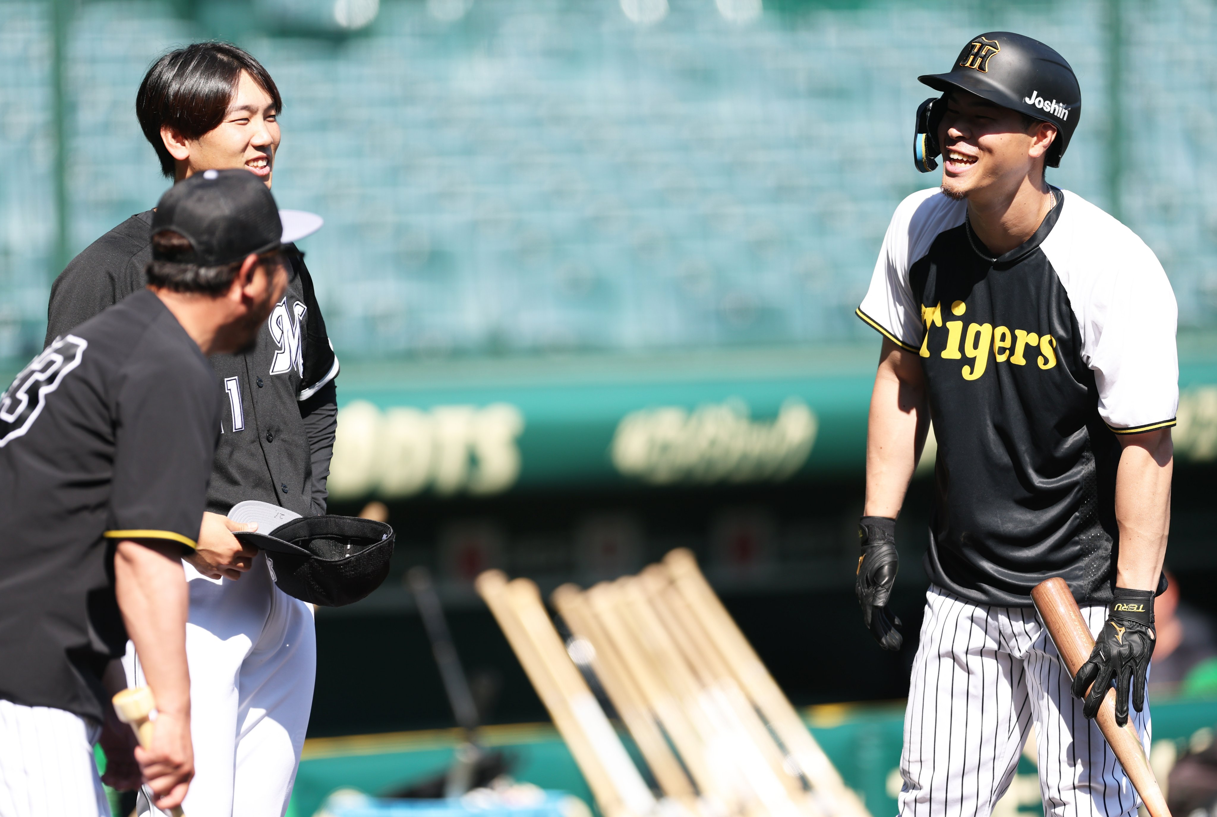 佐藤輝明に期待していること【2/23 対ジャイアンツ戦○】｜とび