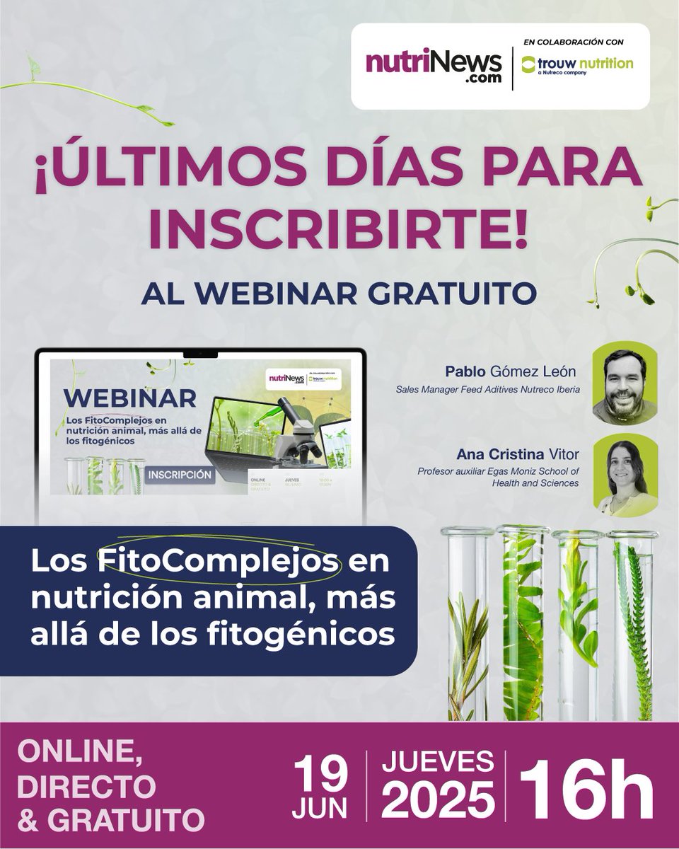 ¡Inscripción gratuita! 🛎️
Accede a este Webinar especial de #TrouwNutrition, en el que nos adentraremos en el mundo de los #FitoComplejos 🌱
🔗 agriseminar.com/trouwnutrition…