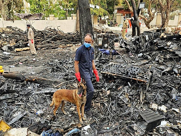 ani_digital's tweet image. Air India plane crash: 144 DNA samples have been matched, says Gujarat Home Minister

Read @ANI Story | aninews.in/news/national/…

#AirIndia #planecrash #DNAsamples #Gujarat