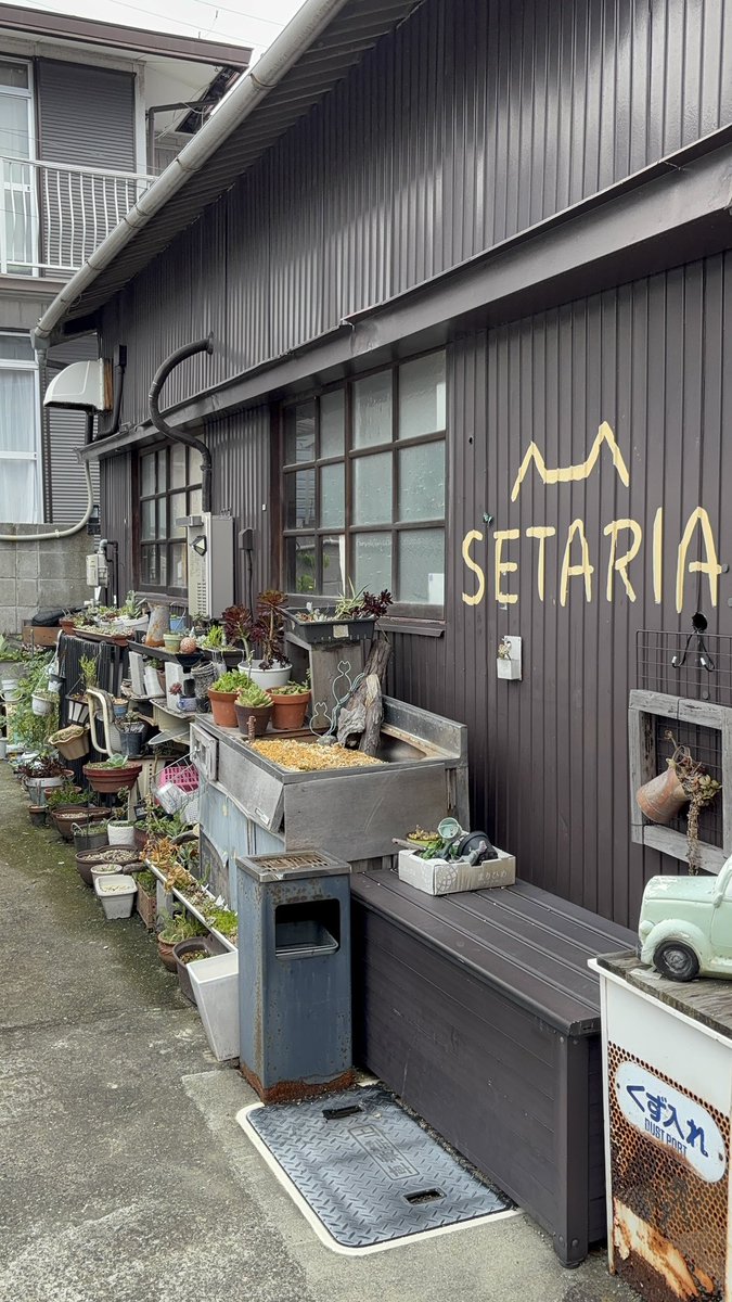 Meganenokagaya's tweet photo. 今日は友ちゃんとランチへ✨
行ったことのないお店を予約してくれてました🤩
まさかこんな可愛いお店が近くにあったなんて笑
日替わり定食を注文✨
ご飯は白ご飯か雑穀米から選べて、大盛りは➕50円とお安い✨
小鉢3つとスープとドリンク(コーヒー、紅茶)が付いて1000円はお得ですね🥰
#SETARIA https://t.co/5gN3aXyvHE